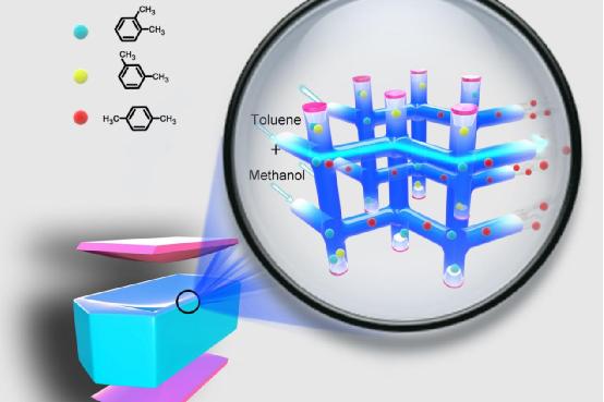 1570522087616056446.jpg file0001.jpg